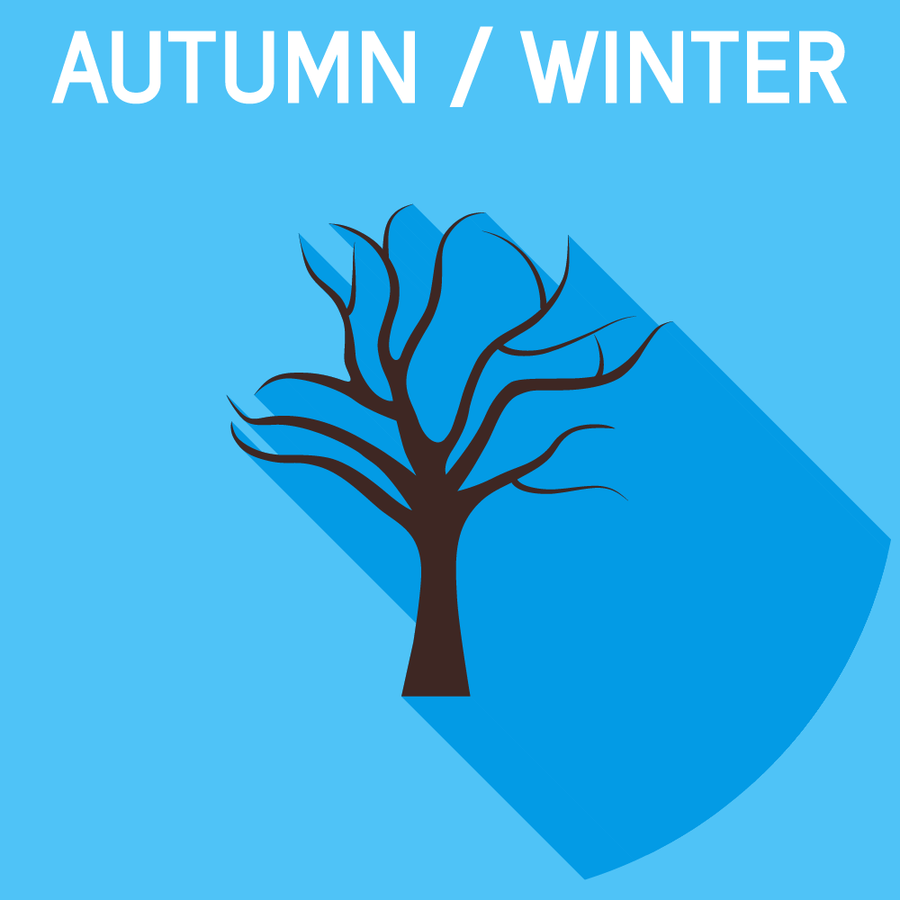 Autumn treatment