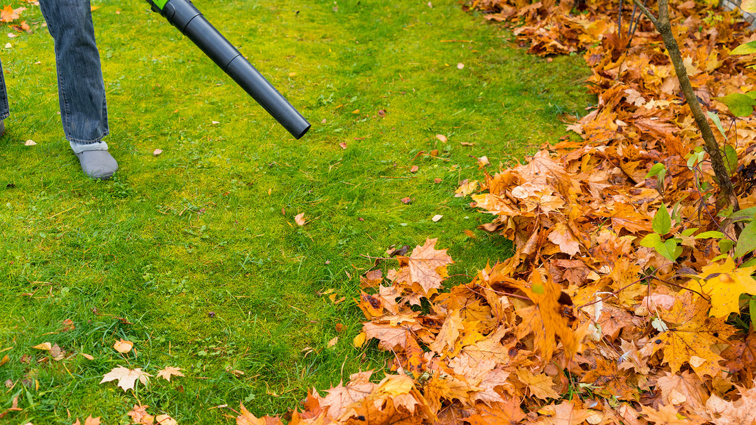 Blowing clippings off paths
