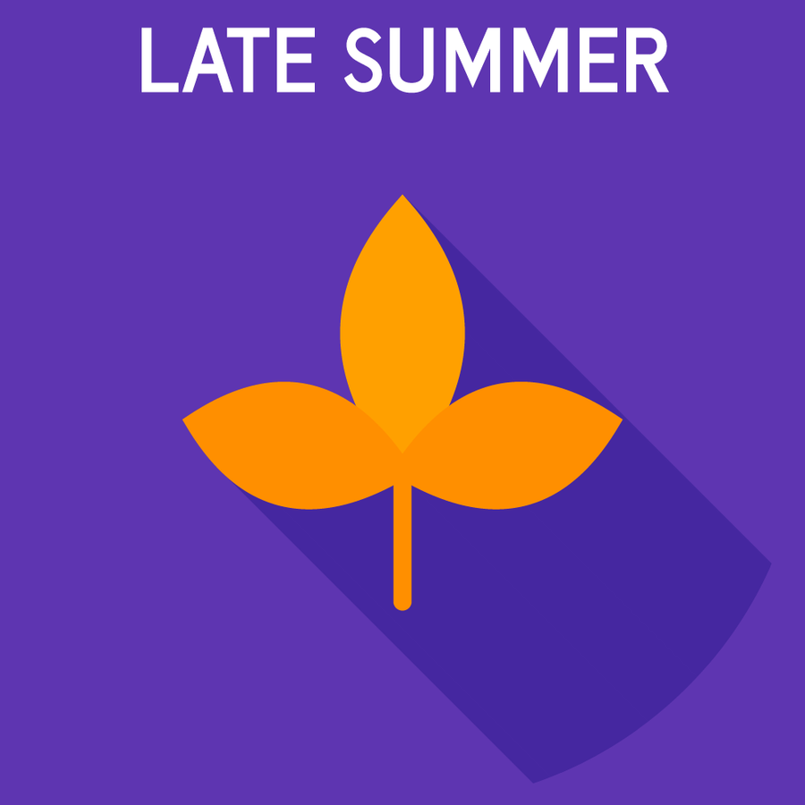 Late summer treatment