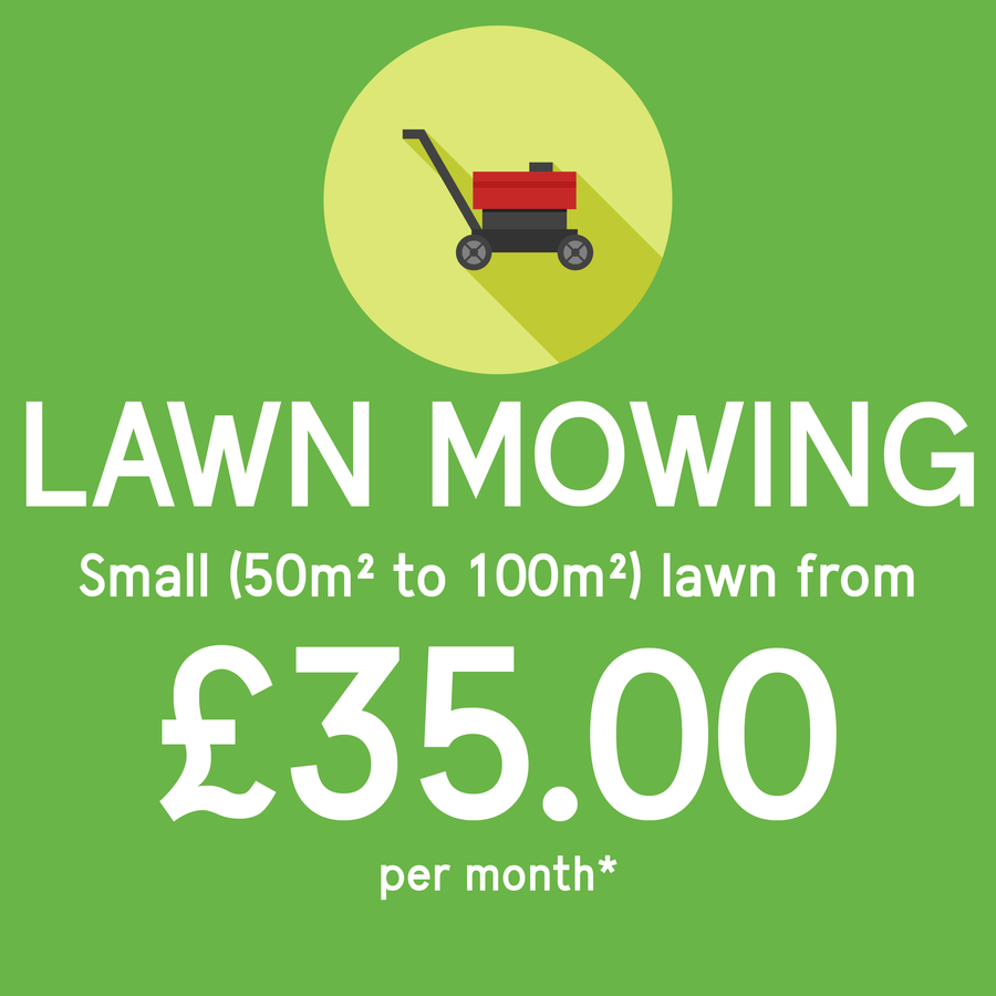 Lawn mowing service