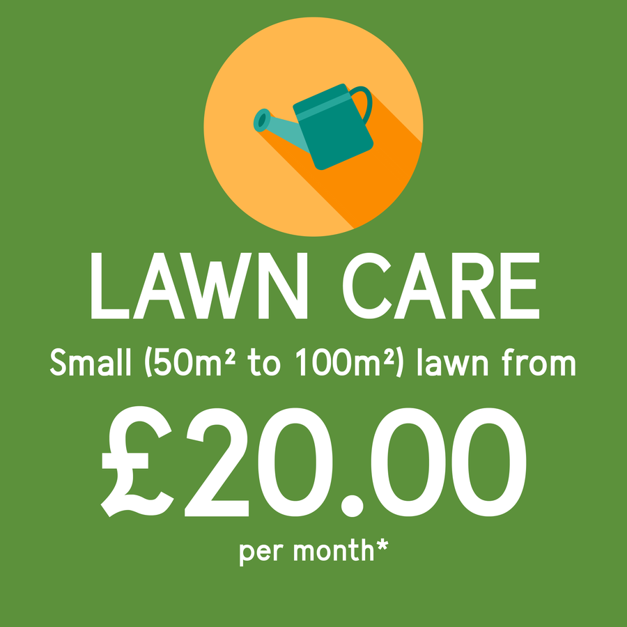 Organic lawn treatment plan