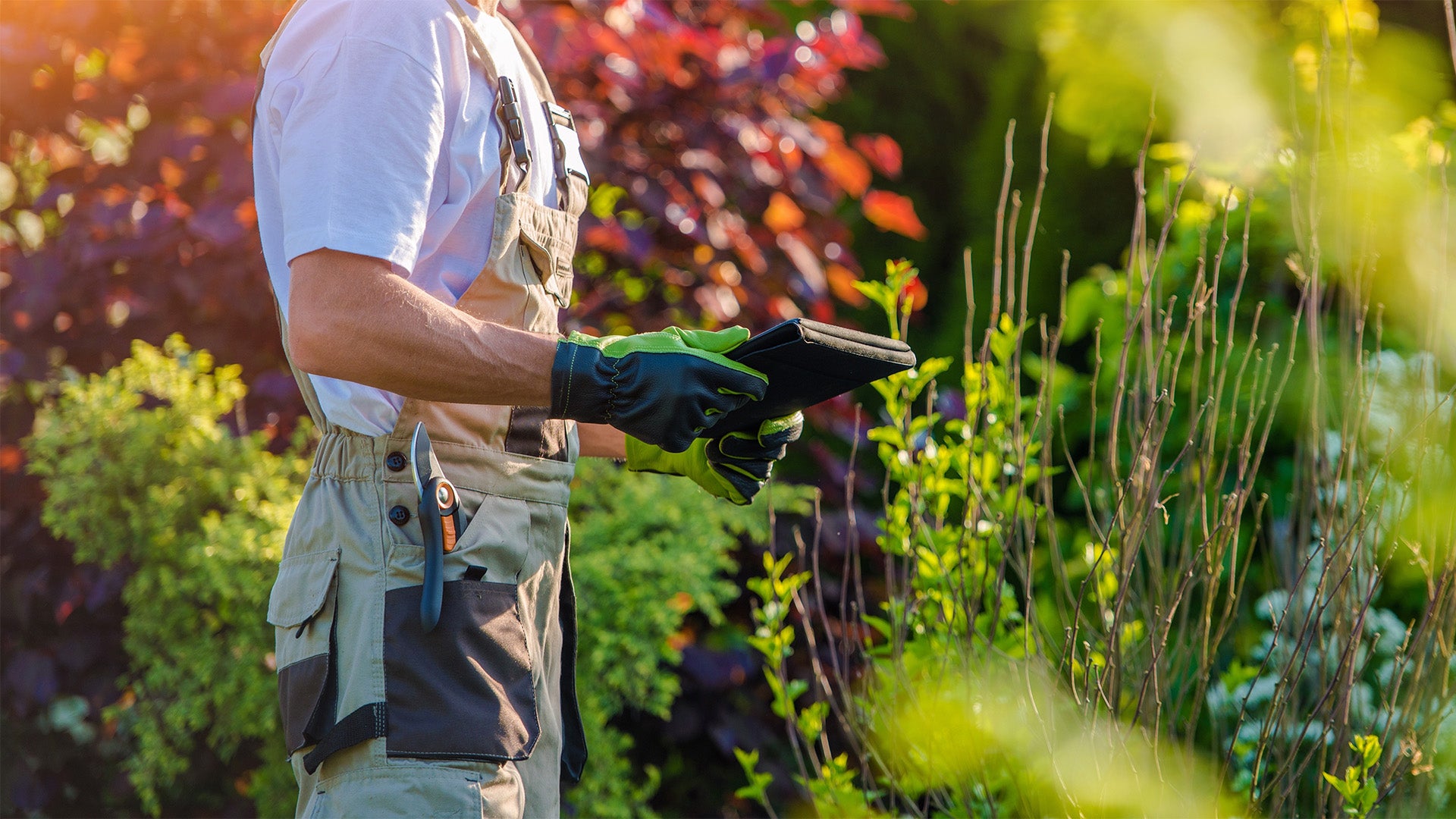 Residential lawn care