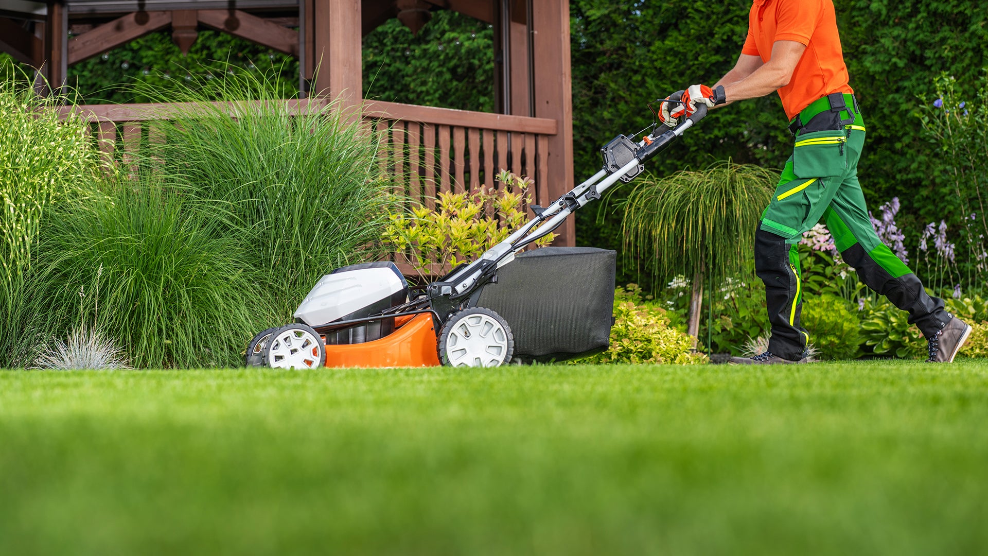 A healthy, freshly mown green lawn