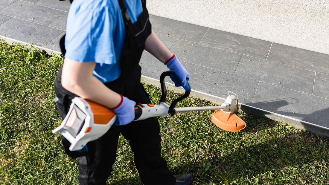 Strimming the lawn edges